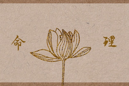 老皇历,老皇历查询,择吉皇历